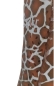 Preview: Reitleggings "Wild Giraffe" mit High Grip